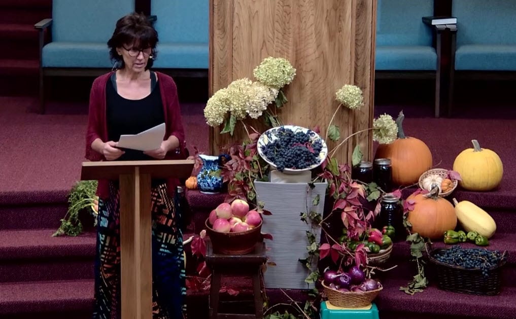 Cooking Plant-Based on a Budget Cost saving options